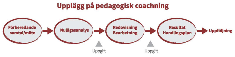 upplagg_pa_pedagogisk_coaching